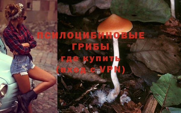 гашик Абаза