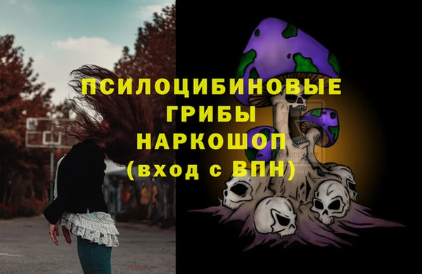 экстази Ветлуга
