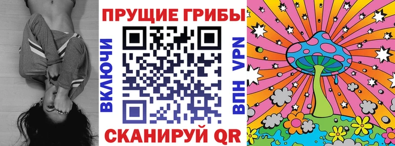 Галлюциногенные грибы мухоморы Гвардейск
